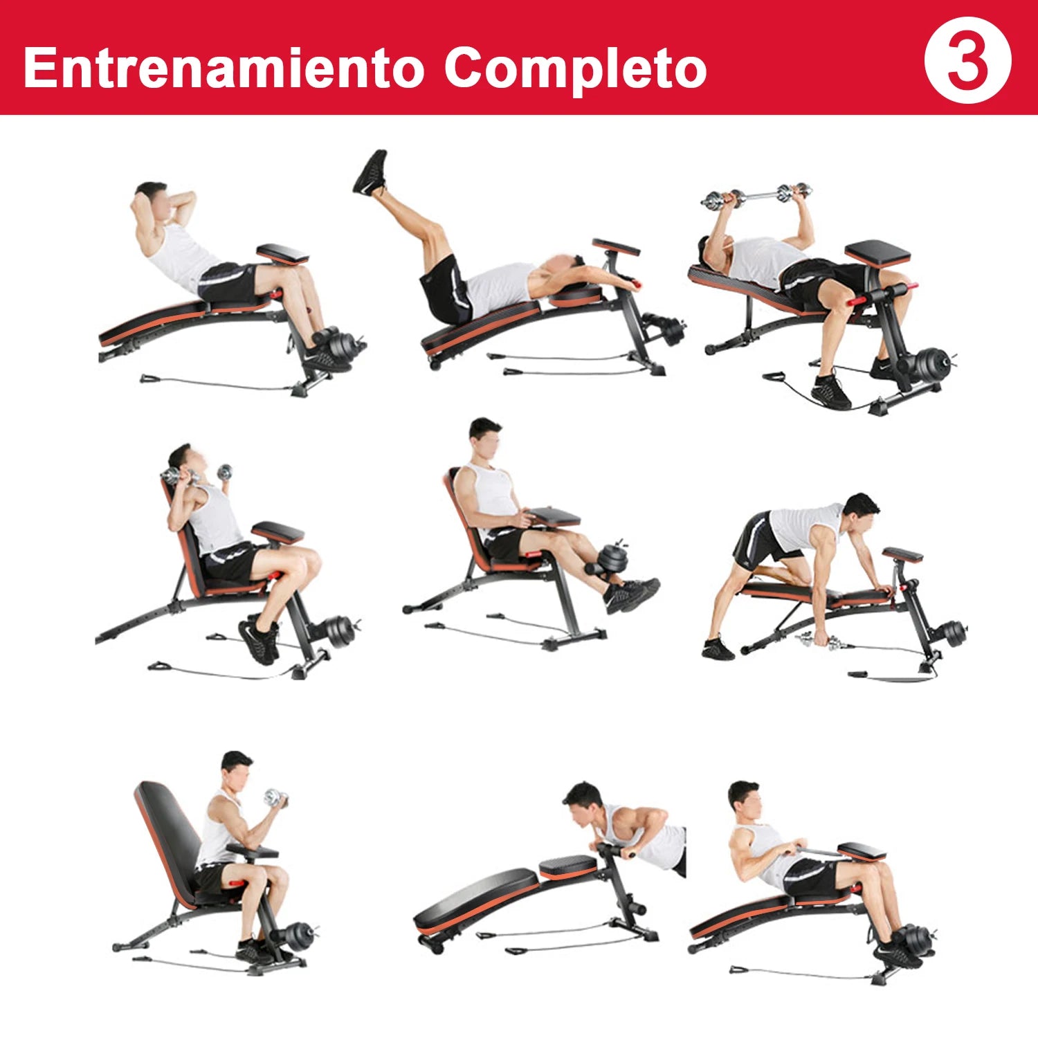 HOMCOM Banco de Pesas Inclinable Banco de Musculación Respaldo Inclinable