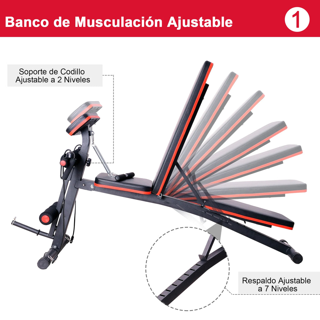 HOMCOM Banco de Pesas Inclinable Banco de Musculación Respaldo Inclinable